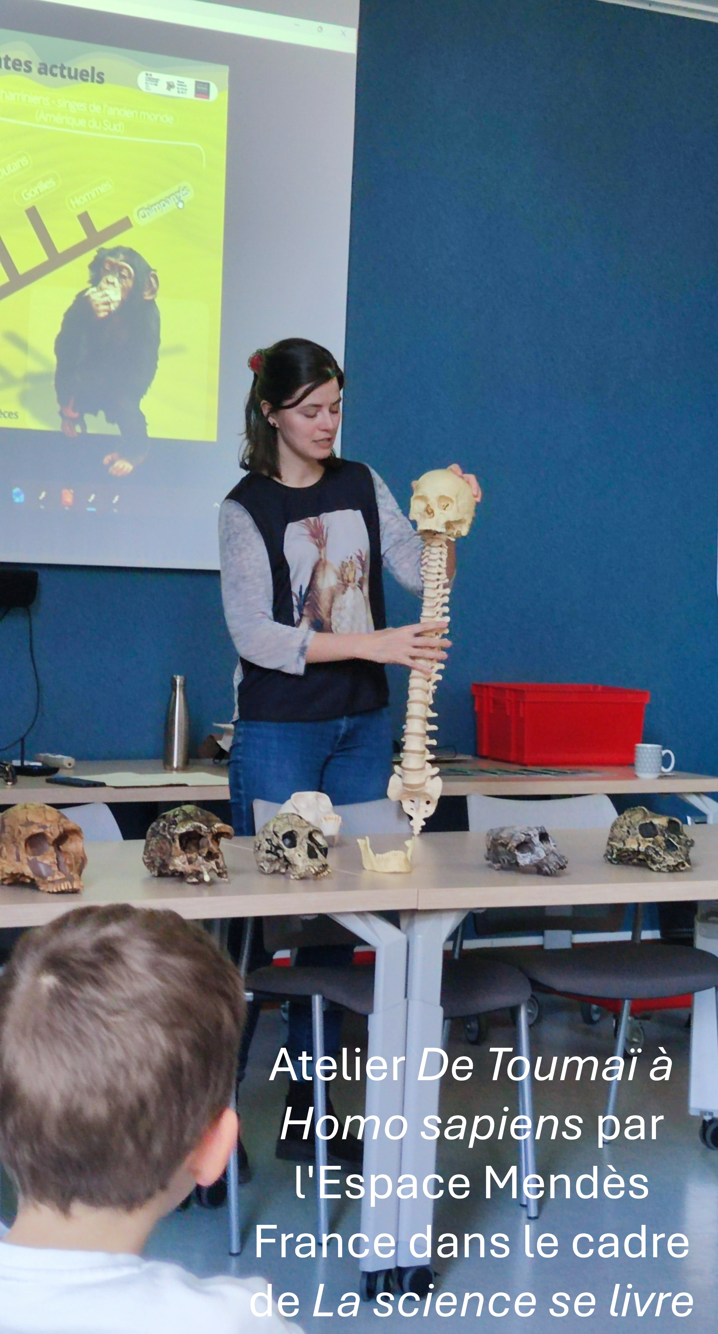 Atelier De Toumai a Homo sapiens par lEspace Mendes France dans le cadre de La science se livre.jpg